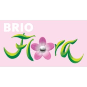 BRIO - Flora