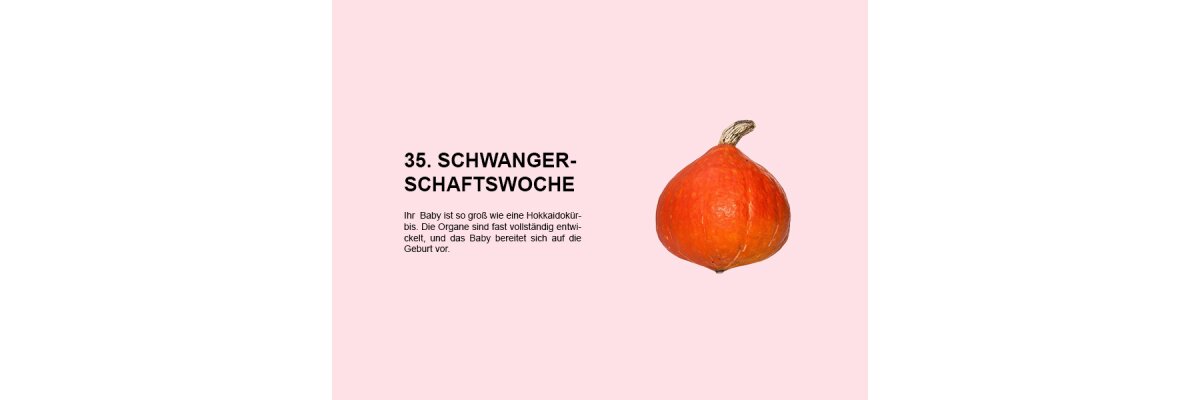 Die 35. Schwangerschaftswoche (SSW 35): Vorbereitung auf die Geburt - 