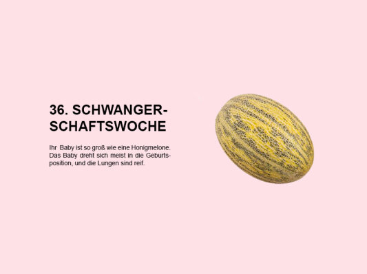 Die 36. Schwangerschaftswoche (SSW 36): Alles, was Sie wissen müssen - 