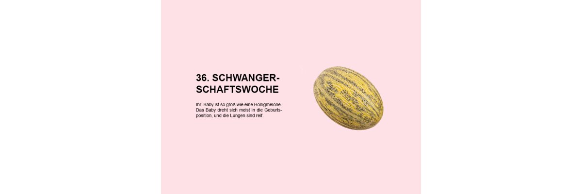 Die 36. Schwangerschaftswoche (SSW 36): Alles, was Sie wissen müssen - 