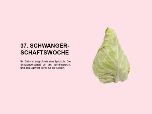 Die 37. Schwangerschaftswoche (SSW 37): Der Beginn der termingerechten Schwangerschaft - 