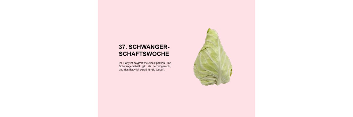 Die 37. Schwangerschaftswoche (SSW 37): Der Beginn der termingerechten Schwangerschaft - 