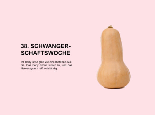 Die 38. Schwangerschaftswoche (SSW 38): Ein entscheidender Moment vor der Geburt - 