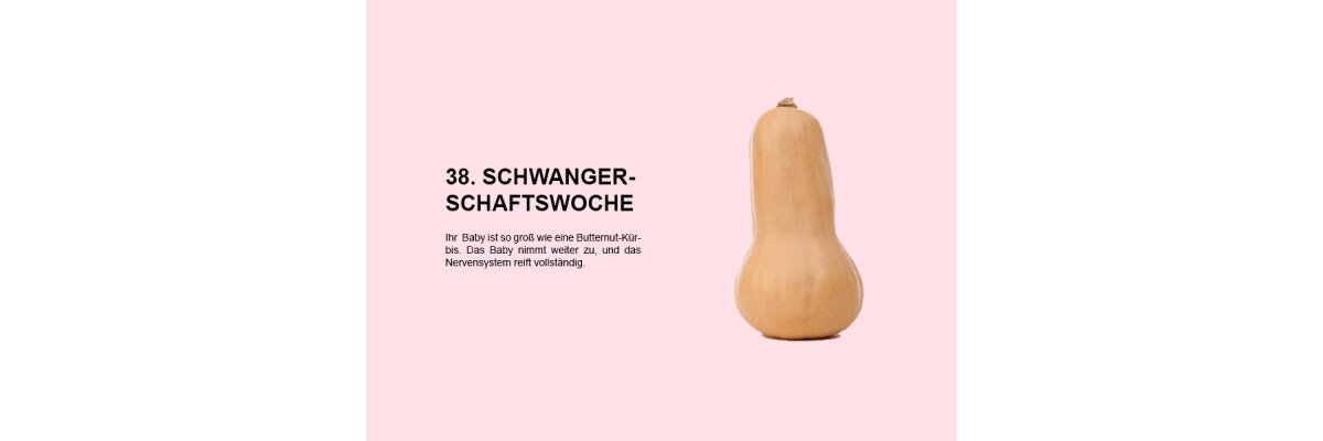 Die 38. Schwangerschaftswoche (SSW 38): Ein entscheidender Moment vor der Geburt - 
