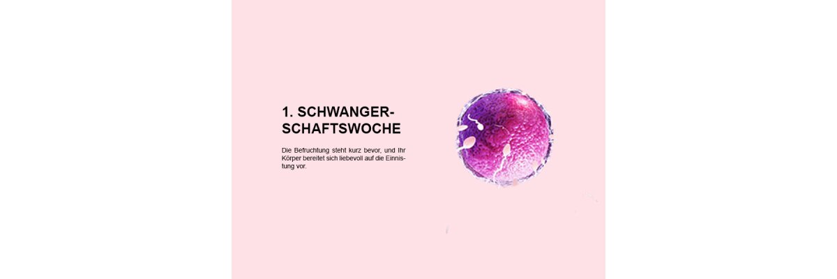 Die erste Schwangerschaftswoche (SSW 1): Ein sensibler Beginn voller Hoffnung und Vorbereitung - 