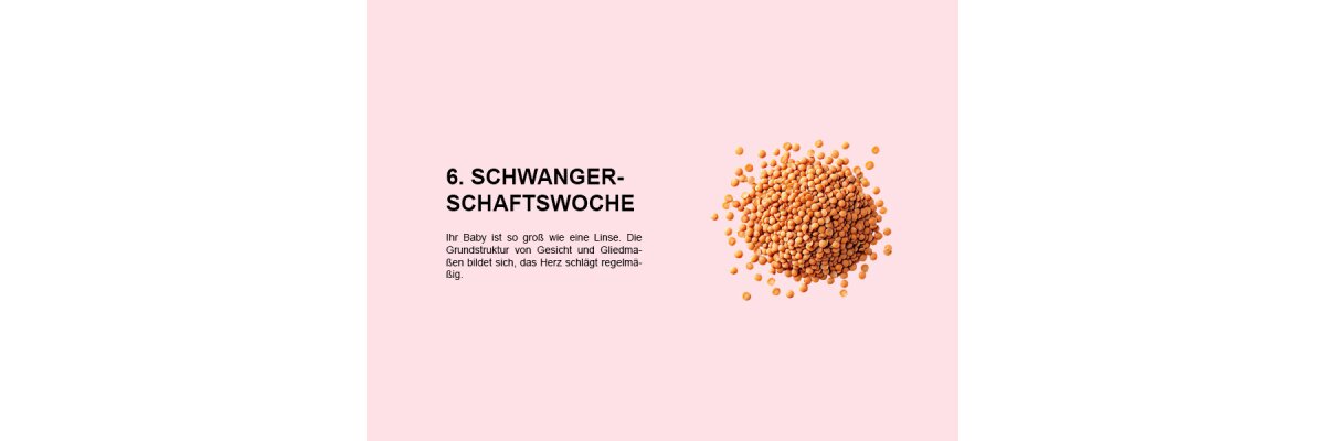 Die sechste Schwangerschaftswoche (SSW 6): Ein umfassender Einblick in die Entwicklung Ihres Babys - 