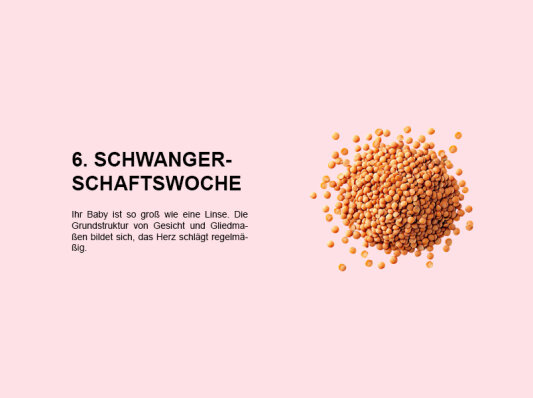 Die sechste Schwangerschaftswoche (SSW 6): Ein umfassender Einblick in die Entwicklung Ihres Babys - 