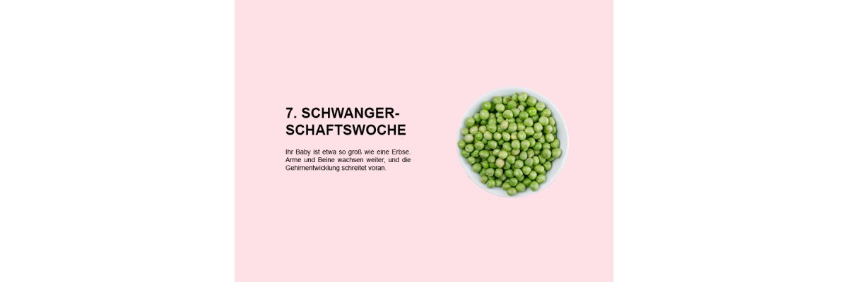 Die siebte Schwangerschaftswoche (SSW 7): Wachstum von Armen und Beinen sowie Gehirnentwicklung im Fokus - 