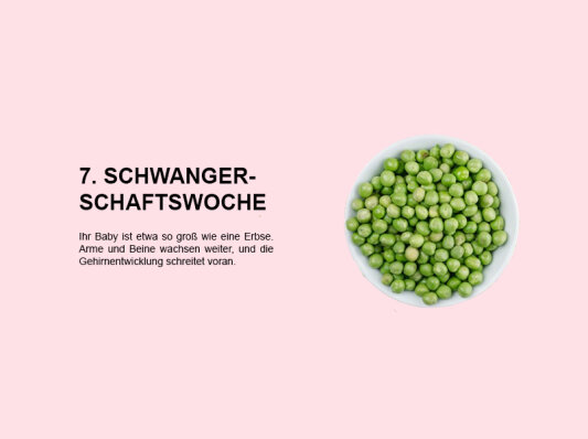 Die siebte Schwangerschaftswoche (SSW 7): Wachstum von Armen und Beinen sowie Gehirnentwicklung im Fokus - 