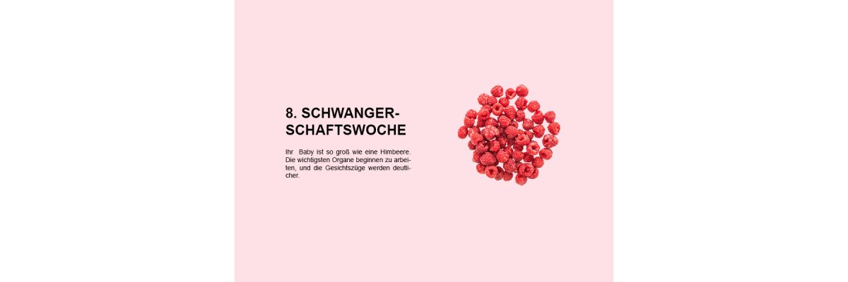 Die achte Schwangerschaftswoche (SSW 8): Entwicklung des Embryos und Veränderungen der Mutter - 