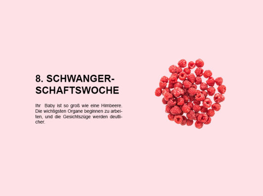 Die achte Schwangerschaftswoche (SSW 8): Entwicklung des Embryos und Veränderungen der Mutter - 