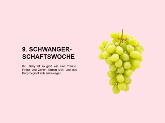 Die neunte Schwangerschaftswoche (SSW 9): Entwicklung von Fingern, Zehen und ersten Bewegungen - 