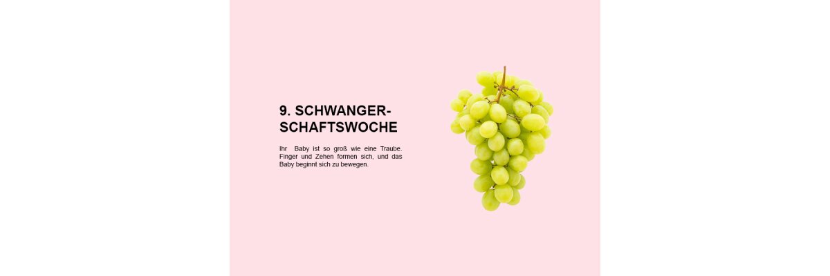 Die neunte Schwangerschaftswoche (SSW 9): Entwicklung von Fingern, Zehen und ersten Bewegungen - 
