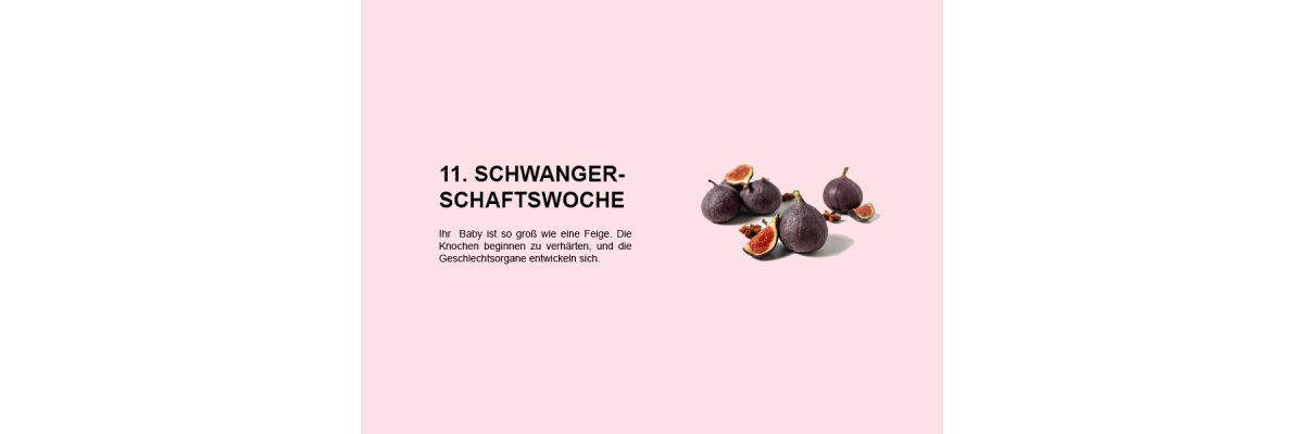 Die elfte Schwangerschaftswoche (SSW 11): Entwicklung des Fötus und Veränderungen bei der Mutter - 