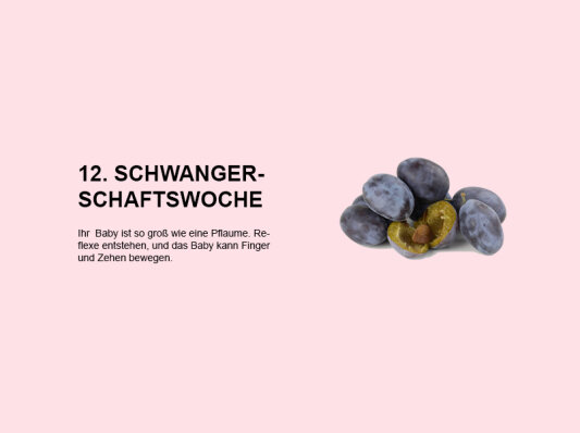 Die zwölfte Schwangerschaftswoche (SSW 12): Entwicklung der Reflexe und Beweglichkeit von Fingern und Zehen - 