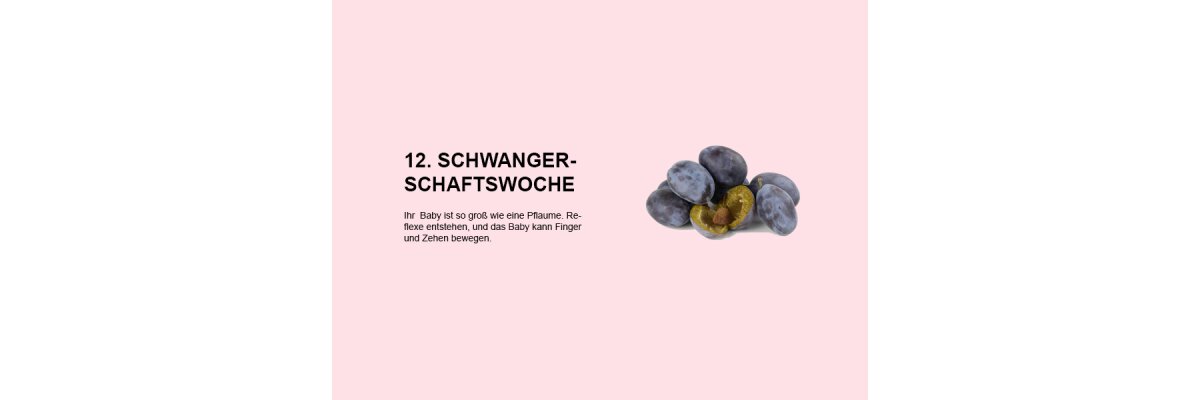 Die zwölfte Schwangerschaftswoche (SSW 12): Entwicklung der Reflexe und Beweglichkeit von Fingern und Zehen - 