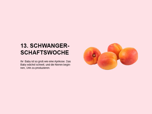 Die 13. Schwangerschaftswoche: Beginn des zweiten Trimesters und rasante Entwicklung des Babys - 