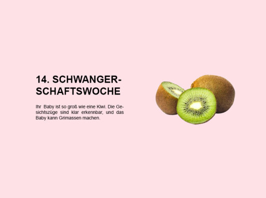 Die 14. Schwangerschaftswoche (SSW 14): Entwicklung des Babys und Veränderungen im Körper der Mutter - 