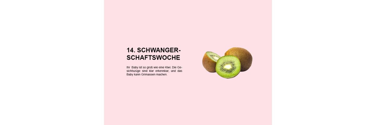 Die 14. Schwangerschaftswoche (SSW 14): Entwicklung des Babys und Veränderungen im Körper der Mutter - 