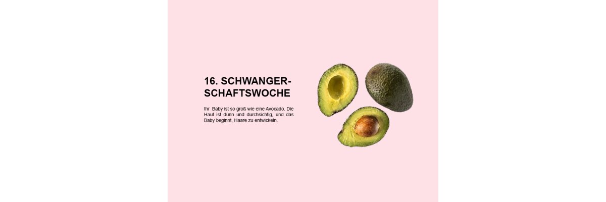 Die 16. Schwangerschaftswoche (SSW 16): Die Haut ist dünn und durchsichtig, und das Baby beginnt, Haare zu entwickeln - 