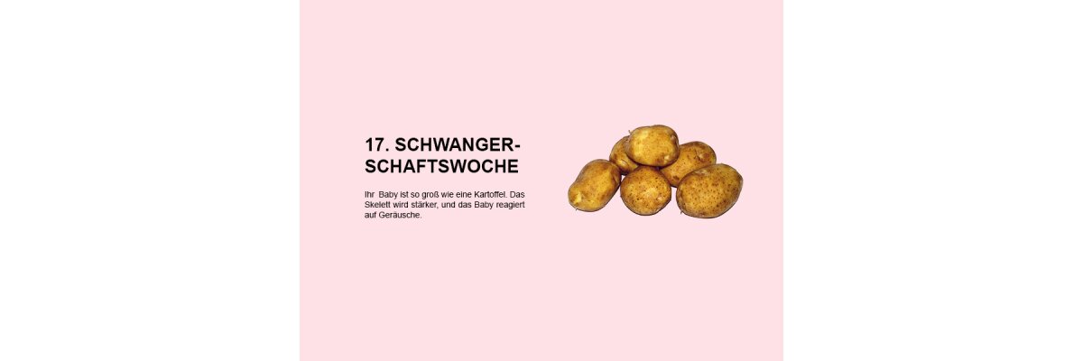 Die 17. Schwangerschaftswoche (SSW 17) – Entwicklung, Veränderungen und Erfahrungen - 