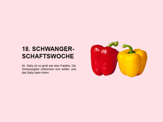Die 18. Schwangerschaftswoche (SSW 18): Entwicklung der Sinnesorgane und Hörfähigkeit des Babys - 