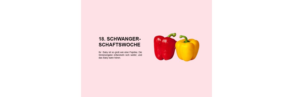 Die 18. Schwangerschaftswoche (SSW 18): Entwicklung der Sinnesorgane und Hörfähigkeit des Babys - 