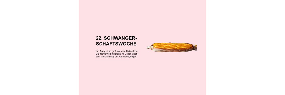 Die 22. Schwangerschaftswoche (SSW 22): Entwicklung und Wachstum Ihres Babys im zweiten Trimester - 