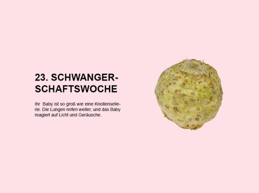 Die 23. Schwangerschaftswoche (SSW 23): Entwicklung, Veränderungen und wichtige Informationen für Eltern - 