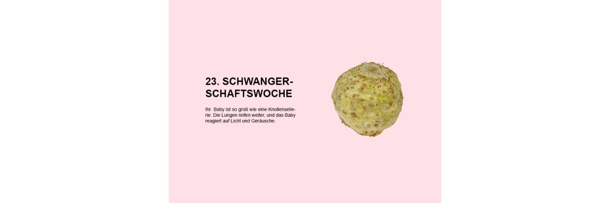 Die 23. Schwangerschaftswoche (SSW 23): Entwicklung, Veränderungen und wichtige Informationen für Eltern - 