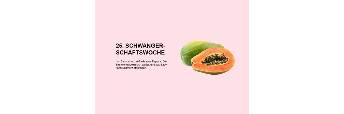 Die 25. Schwangerschaftswoche (SSW 25): Entwicklung der Sinne und Schmerzempfinden des Babys - 