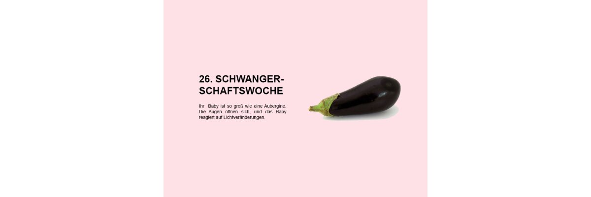 Die 26. Schwangerschaftswoche (SSW 26): Entwicklung des Babys und Erleben der Mutter - 