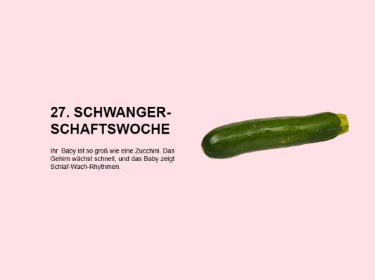 Die 27. Schwangerschaftswoche (SSW 27): Fokus auf Gehirnentwicklung und Schlaf-Wach-Rhythmen des Babys - 