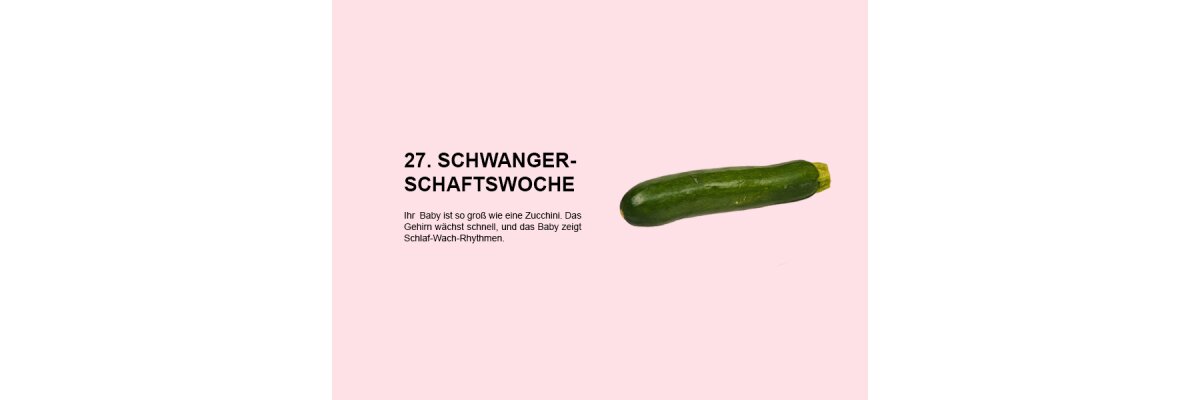 Die 27. Schwangerschaftswoche (SSW 27): Fokus auf Gehirnentwicklung und Schlaf-Wach-Rhythmen des Babys - 