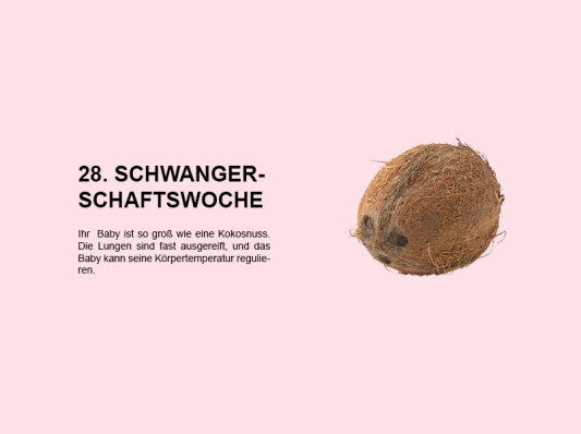 Die 28. Schwangerschaftswoche (SSW 28): Ein wichtiger Meilenstein für Lungenreifung und Temperaturregulation - 