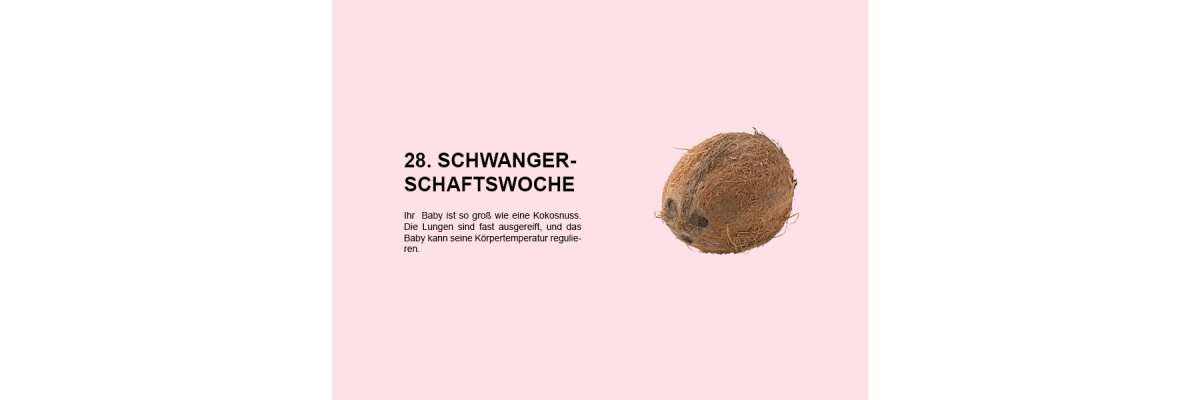 Die 28. Schwangerschaftswoche (SSW 28): Ein wichtiger Meilenstein für Lungenreifung und Temperaturregulation - 