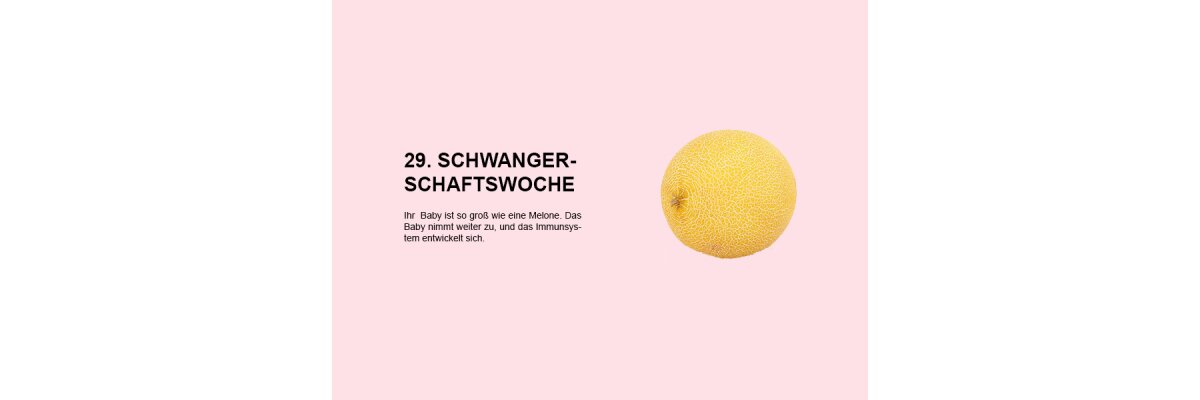 Die 29. Schwangerschaftswoche (SSW 29): Entwicklung des Babys und Stärkung des Immunsystems - 