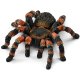 Schleich - Wild Life - 14829 Vogelspinne