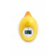 Rotho - Badethermometer ENTE (6)