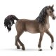Schleich - Horse Club - 13907 Araber Hengst (A)