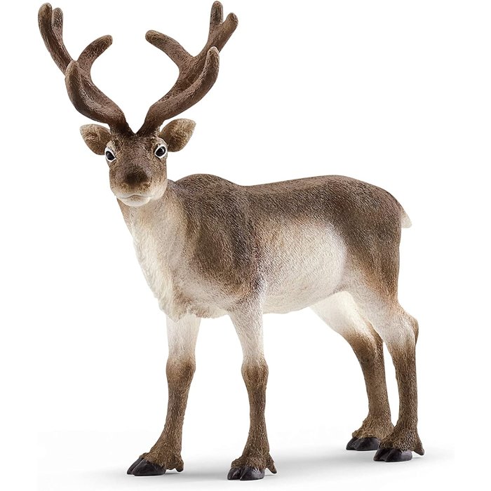 Schleich - Rentier