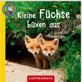 Coppenrath - Lino-Bücher Box Nr. 71 "Linos Tierkinder-Bildergeschichten" (60)