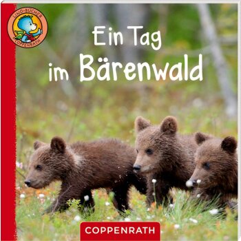 Coppenrath - Lino-Bücher Box Nr. 71 "Linos Tierkinder-Bildergeschichten" (A)