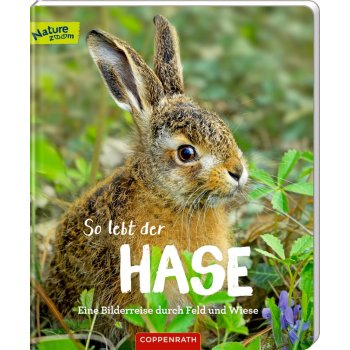 Coppenrath - So lebt der Hase - Eine Bilderreise ...