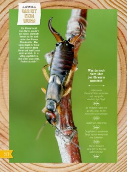 Coppenrath - INSEKTEN & Co. - Entdecken-Verstehen-Mitmachen