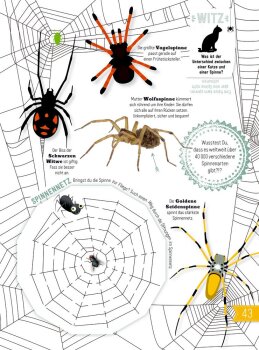 Coppenrath - INSEKTEN & Co. - Entdecken-Verstehen-Mitmachen