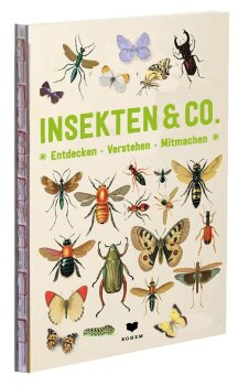 Coppenrath - INSEKTEN & Co. - Entdecken-Verstehen-Mitmachen