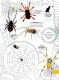 Coppenrath - INSEKTEN & Co. - Entdecken-Verstehen-Mitmachen