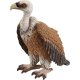 Schleich - Wild Life - 14847 Geier (A)