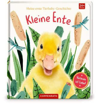 Coppenrath - Meine erste Tierbaby-Geschichte: Kleine Ente